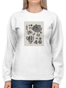Coral Specimen Ii Sweatshirt -Vision Studio Designs