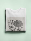 Coral Specimen Ii Sweatshirt -Vision Studio Designs